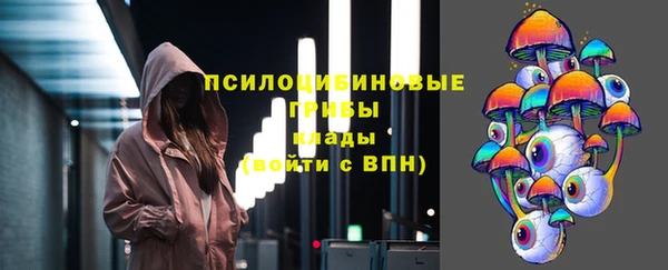 амф Арсеньев