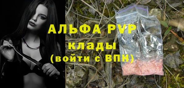амф Арсеньев