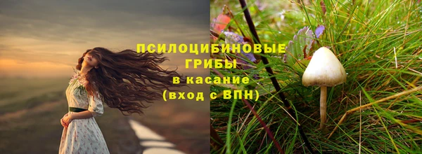 ALPHA PVP Аркадак
